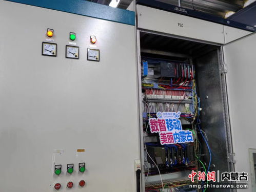 智慧大腦 上線 呼倫貝爾農(nóng)墾構(gòu)筑綠色食品產(chǎn)業(yè)生態(tài)