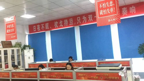 我市農(nóng)特產(chǎn)品企業(yè)積極備戰(zhàn)雙十一