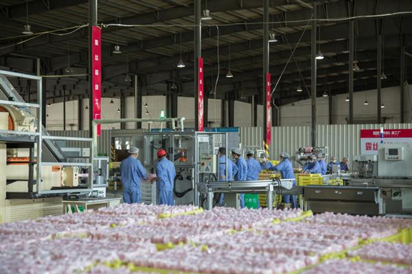 抖音電商“遇見好國貨”助力品牌煥新 傳統(tǒng)日化工廠在抖音商城完成轉(zhuǎn)型