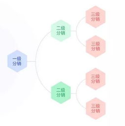 真購物商城全新版本深度揭秘 以用戶為中心的極簡設計革命